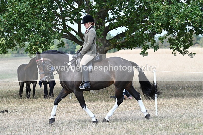 WJ7_6091 - Class 13 Ridden Veterans