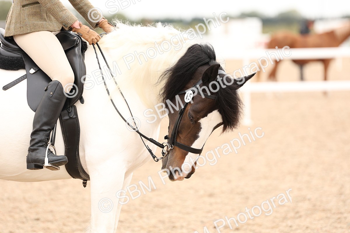 SBM_19713 - Class 216 - Ridden Traditional - Native Cob