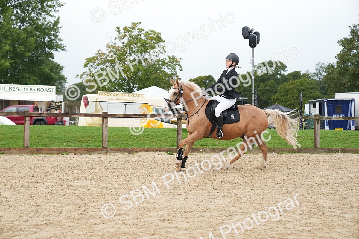 SBM_01408 - J54 - Clear Round 50cm