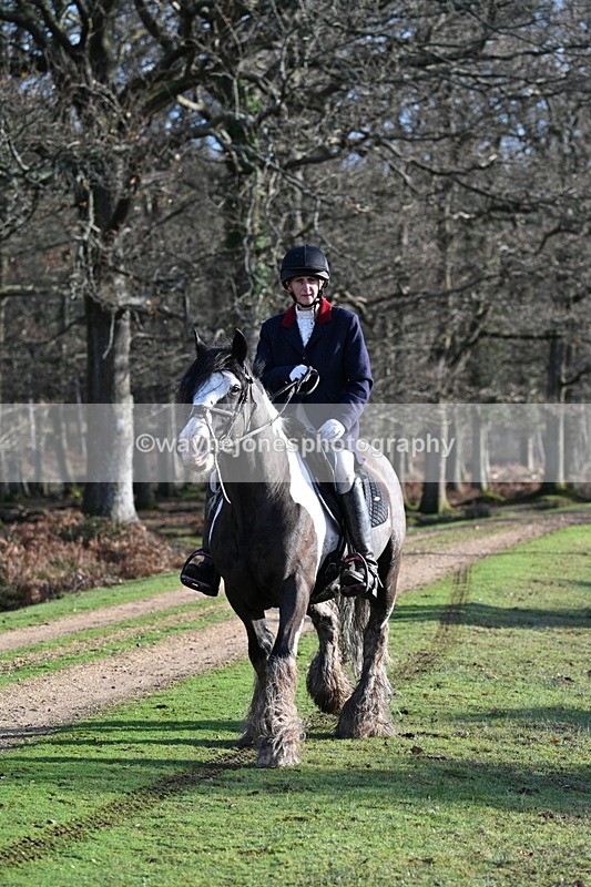 WJ7_7825 - Line 3 (no line 4 or 5)