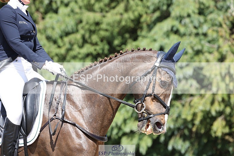 230526-145400-06574 - 376-DIRECT_BALLYTARSNA_DUCAREL-Jodie_Amos-WEDTrotUp+DR