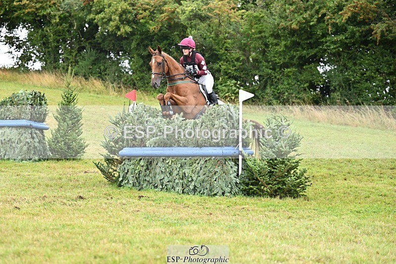 TS_b0296960 - SAT BE 90 Recovered Files fence 8