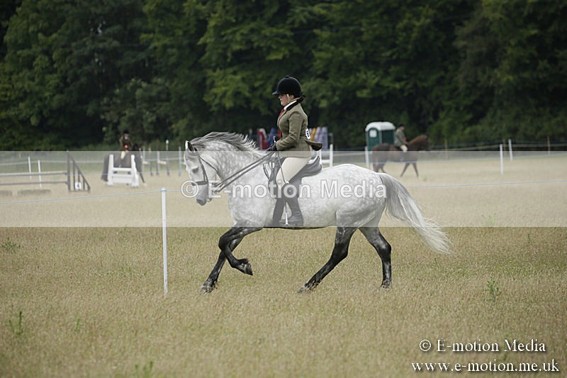 B230619-0939 - Bourne Valley Riding Club Summer Show 23/06/19
