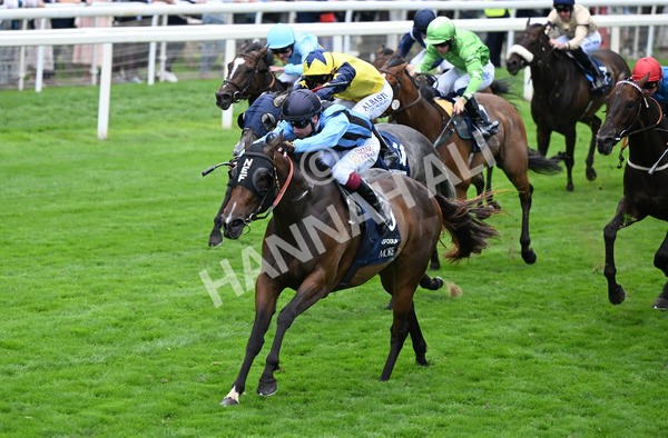 220825-143 Asfoora - Race 4 3.35pm Coolmore Wootton Bassett Nunthorpe Stakes