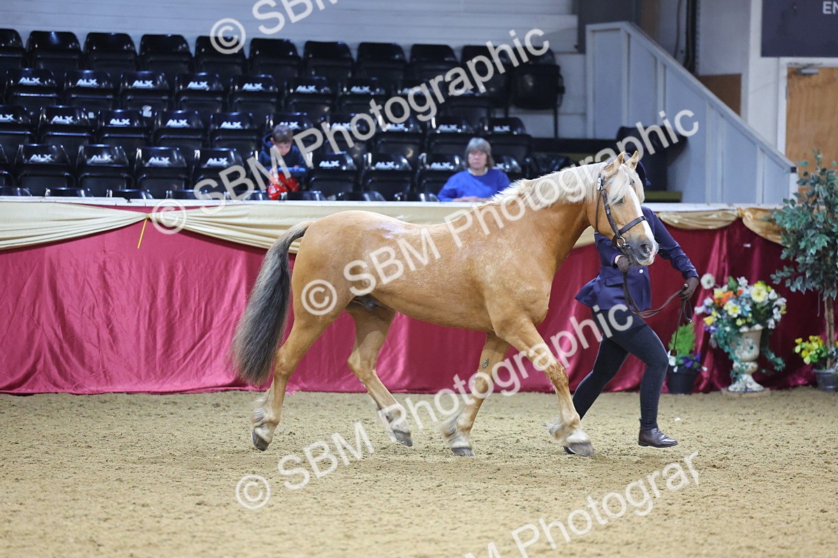 SBM_19599 - Class 901 - Supreme Final - IH Diamond