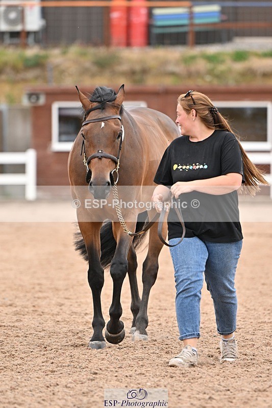 250716-160742-02430 - Trot Up 3.30 to 4.30