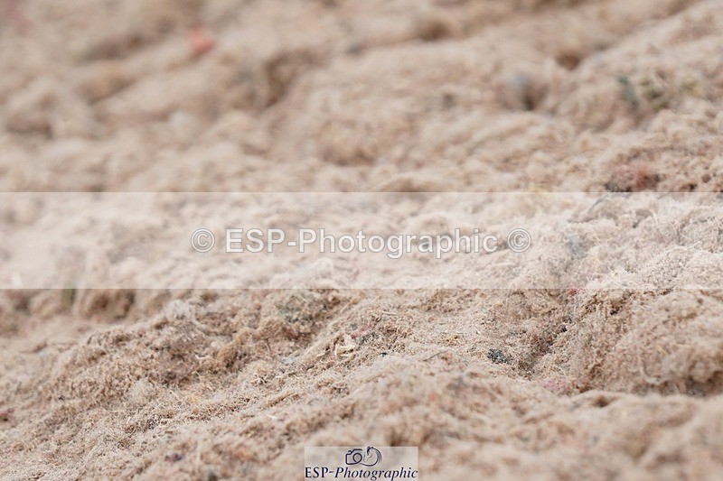 250621-104448-05715 - Quest Cls 7-11, Prelim All