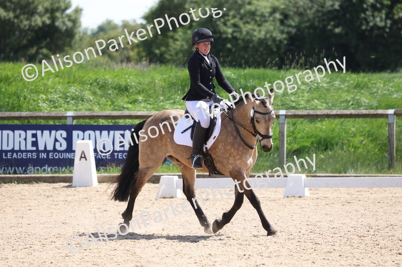 20250520-0796 - Class 5 - Novice 2