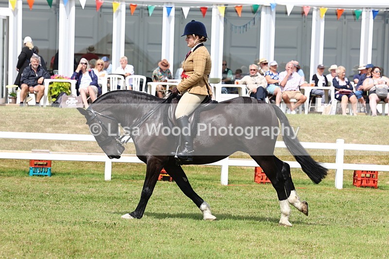 3E7A0563 - Rising Star Ridden Championship