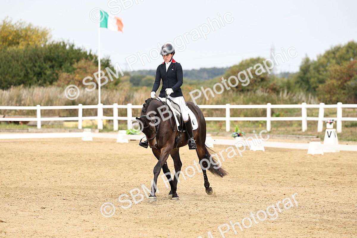 SBM_012405 - Class 2 - Prelim 5