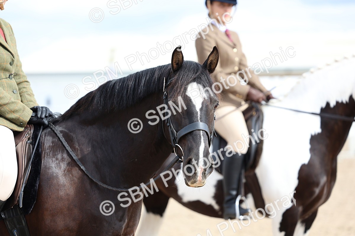 SBM_15814 - Class 314 - Family Horse - Pony