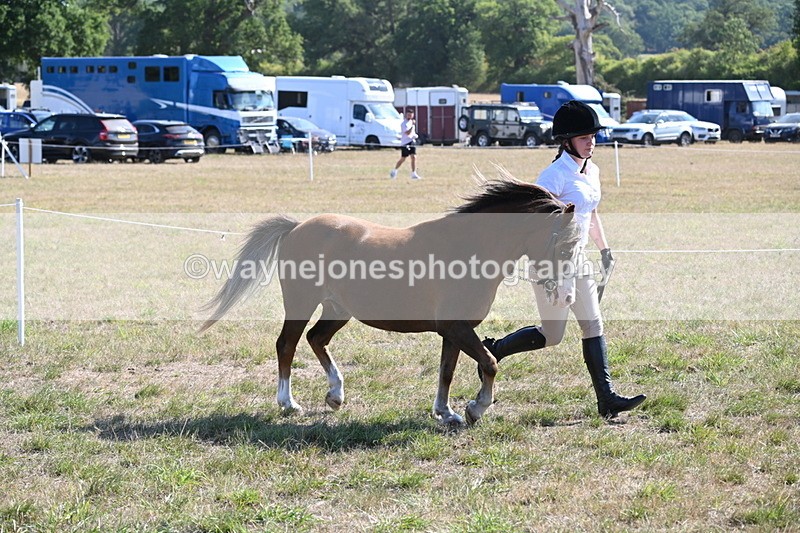 WJ6_7501 - Class 34 Judges Choice