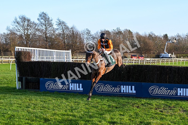 010124-Race 3-Conquredalofeurope-0913 - Race 3