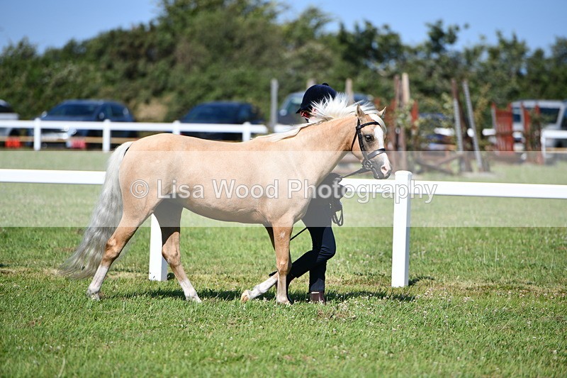 DSC_6404 - Class 53: NPS M&M 4 years and over Small Breeds