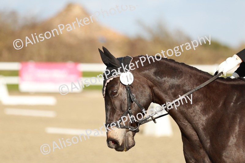 20260314-5394 - DR4 - Prelim 2