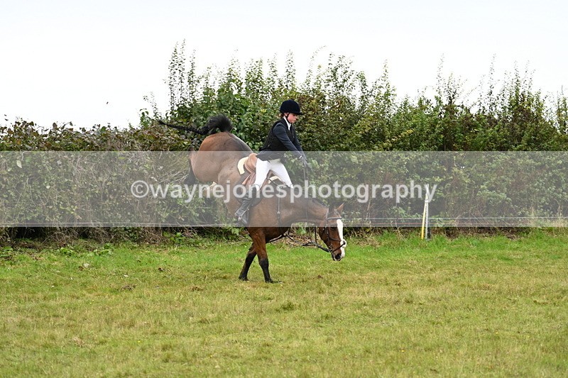 WJ7_4166 - Camera 1 Line 2