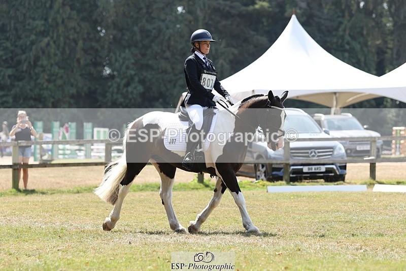 250823A-131301-31488 - Arena C