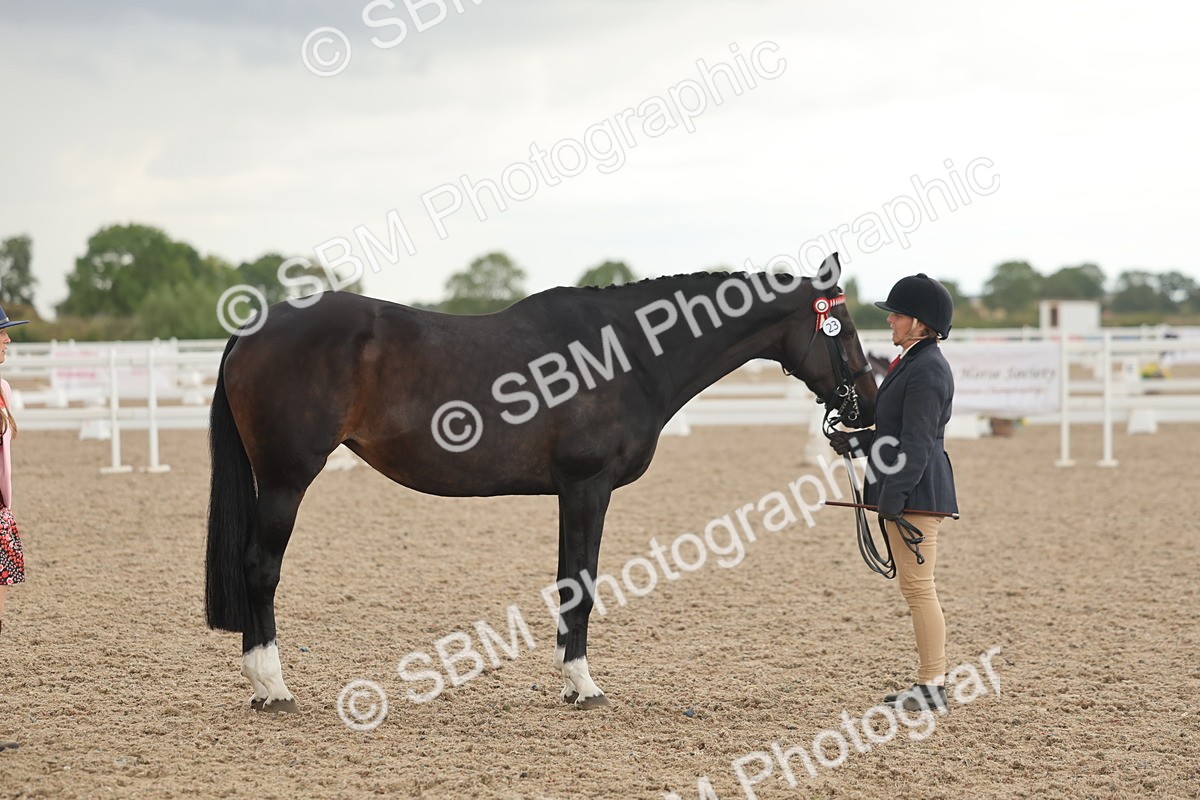 SBM_07672 - Class 26 - IH Foreign Breeds - Part Bred