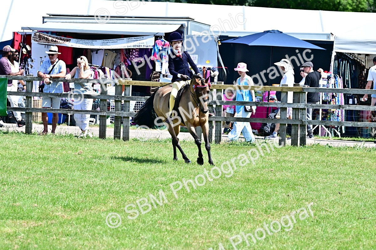 SBM_13989 - Class 95-97 - BSPS LHS Performance Ponies