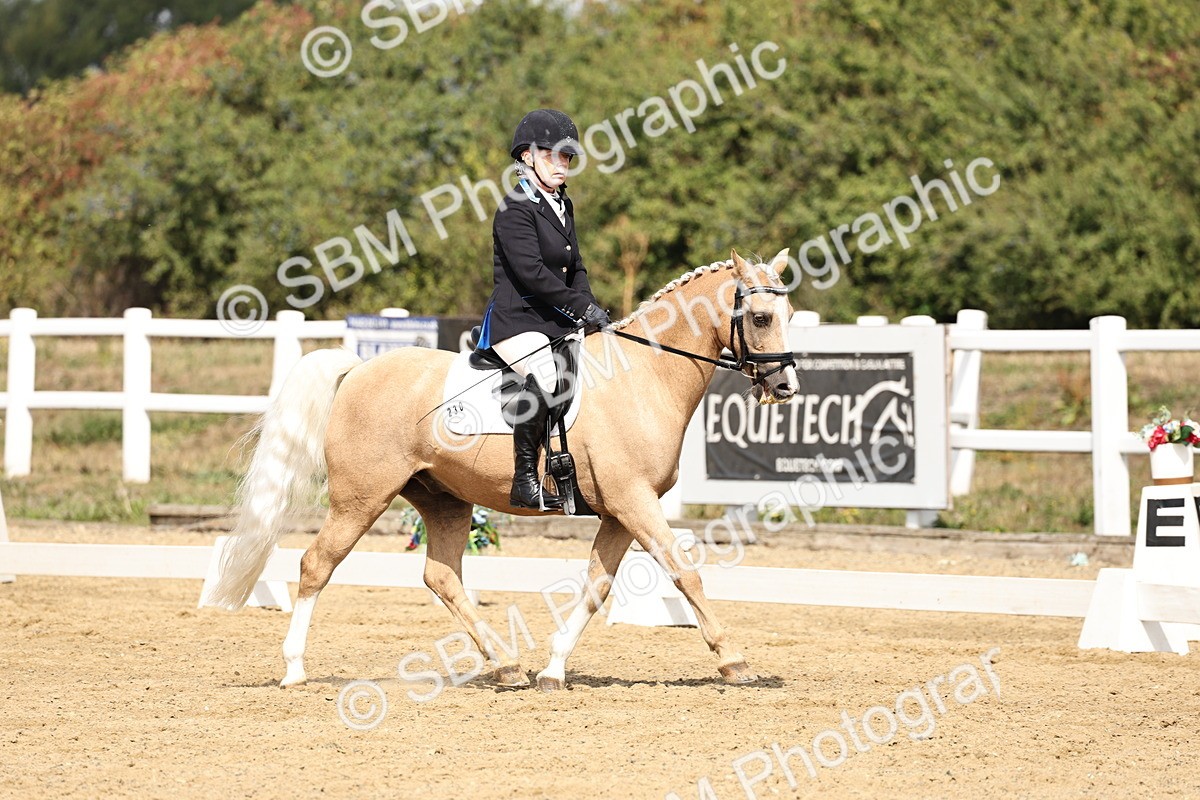 SBM_018207 - Class 16 - Novice 5 - 11.12-12.01