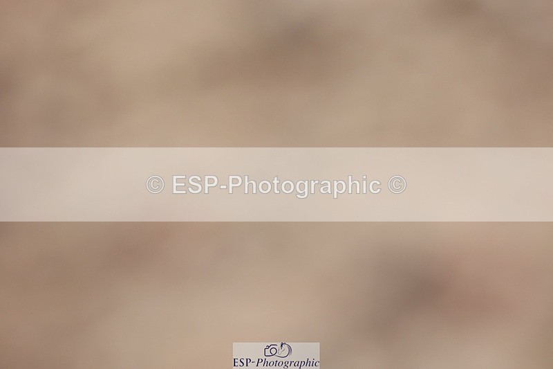 250620-092853-00172 - BD Cls 6 - Freestyle Novice