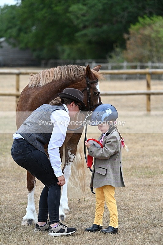WJ7_8592 - Class 4 Prettiest Mare up to 14.2hh