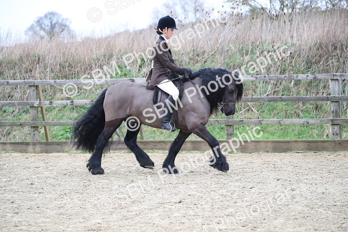 SBM_006294 - Class 10-13 - RIHS Small Large Breeds