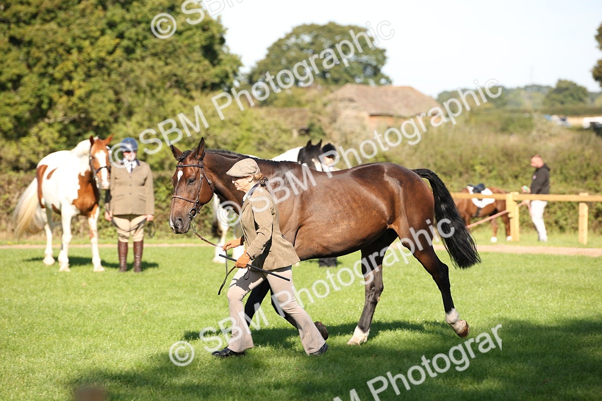 SBM_36617 - S10 - Best In Hand Horse & Pony