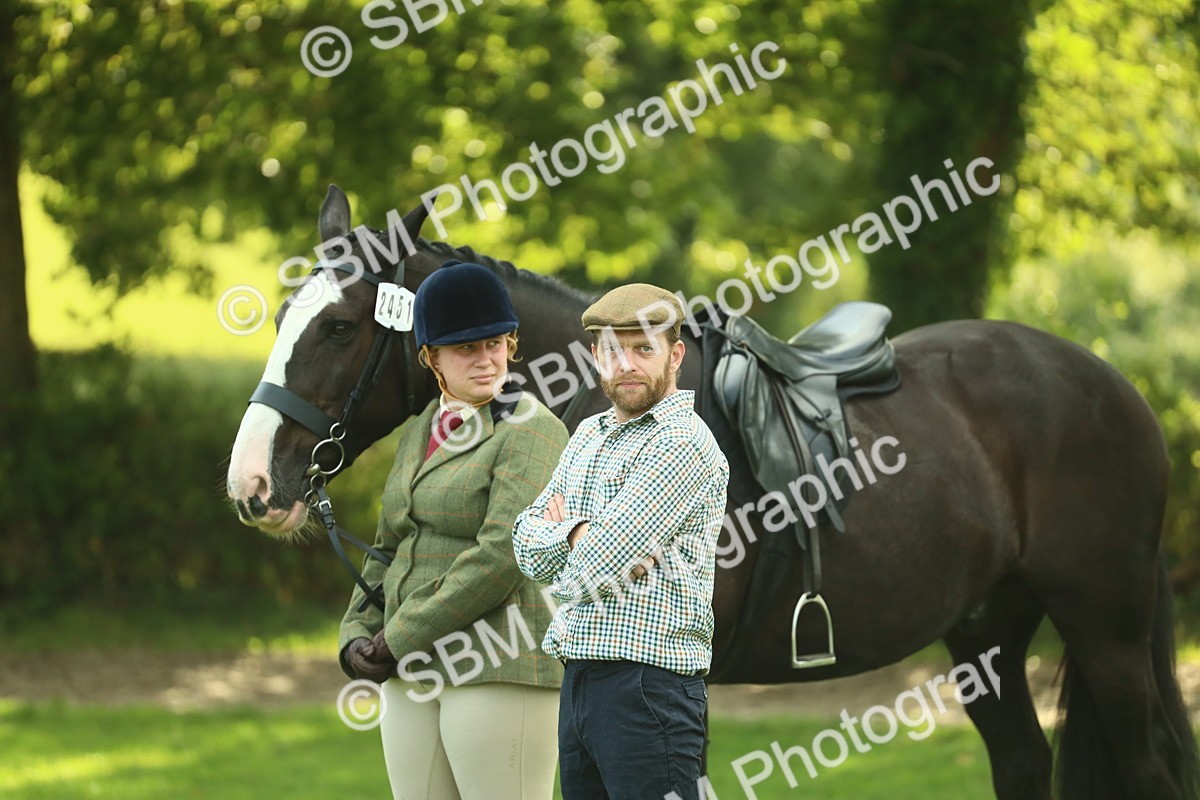 SBM_52141 - S33 - Working Hunter & Working Show Horse