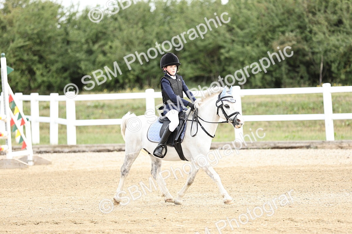 SBM_003253 - 40cm showjumping