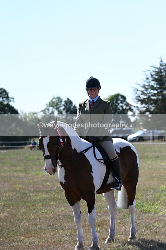 WJ7_3191 - Class 8 Ridden Tack & Turnout