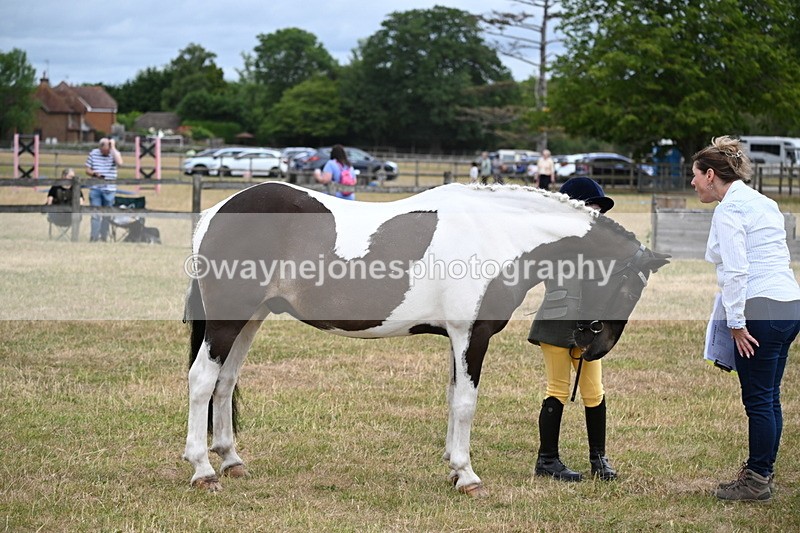 WJ6_4303 - Class 10 Coloured In-hand