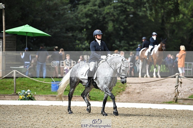 230812-103859-03419 - Cls 6 Novice Silver 10.30 to 11.55 break