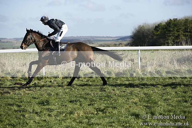 PtP 070118 -315 - Larkhill Racing Club Point to Point Larkhill 07/01/2018