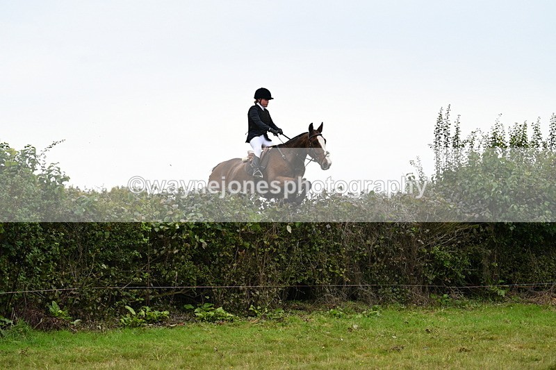 WJ7_4159 - Camera 1 Line 2