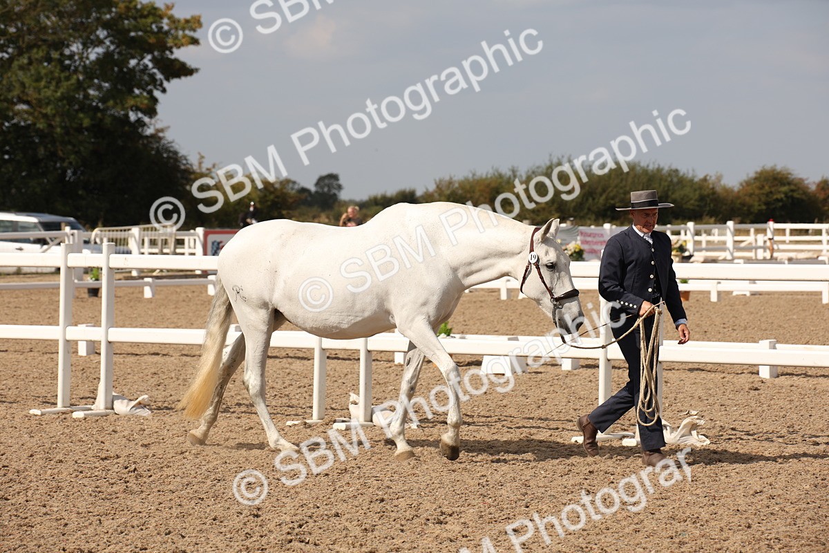 SBM_07039 - Class 25 IH Foreign Breeds- Pure bred