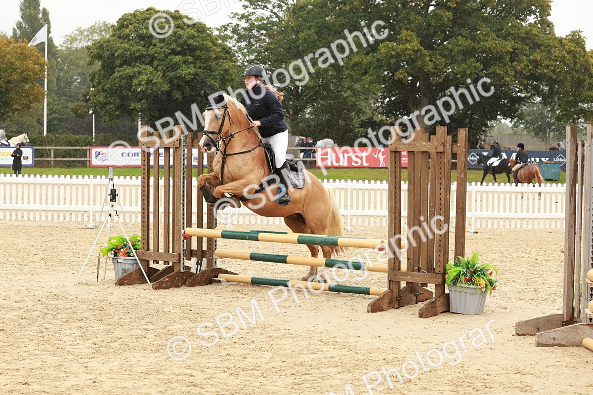 SBM_71159 - J14 - Junior Pony 65cm Championship