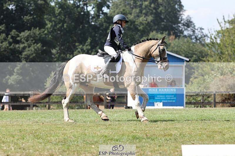 250823A-133605-31329 - Arena D