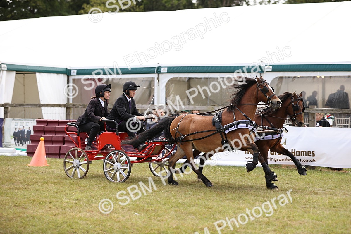 SBM_16093 - Class 91 - Scurry  exceeding 122cms