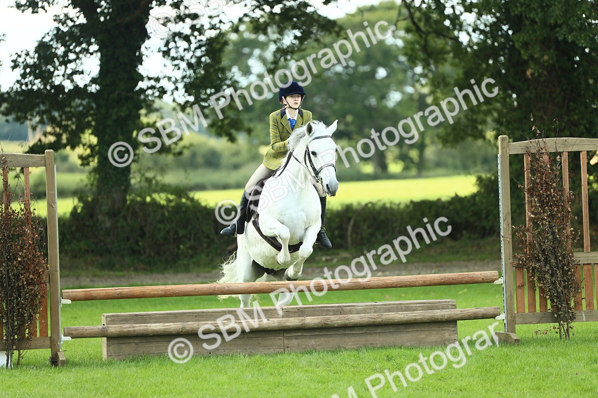 SBM_43031 - S30 - M&M Working hunter Pony