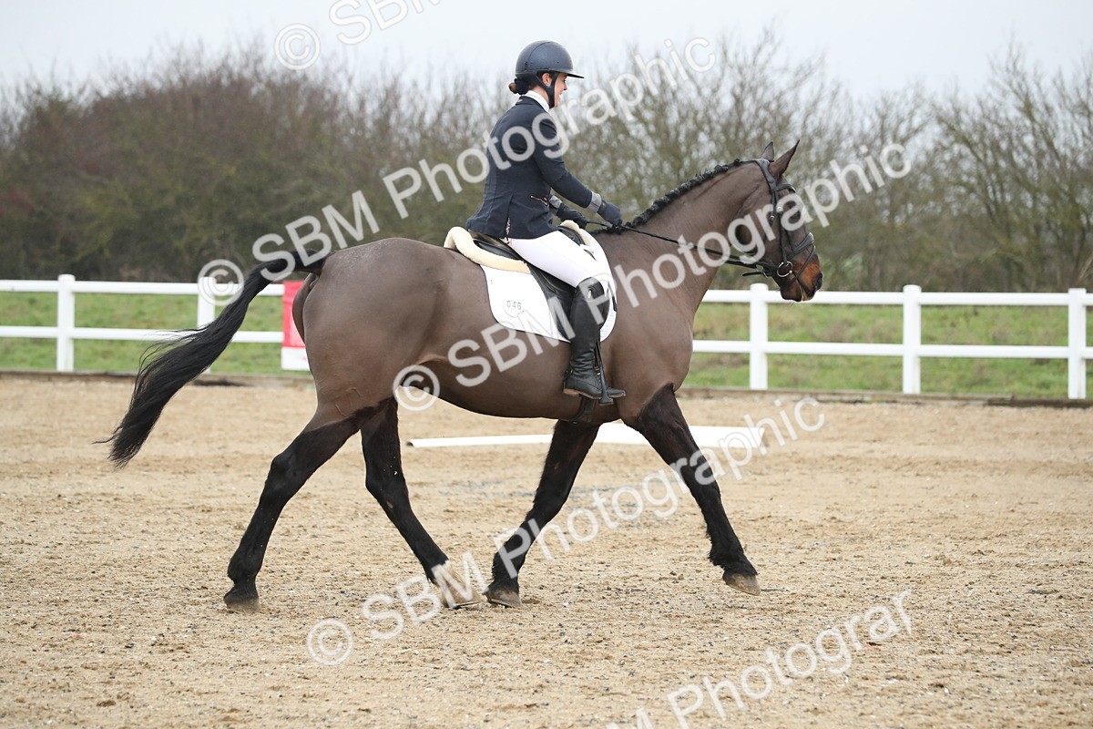 SBM_004529 - Novice 3