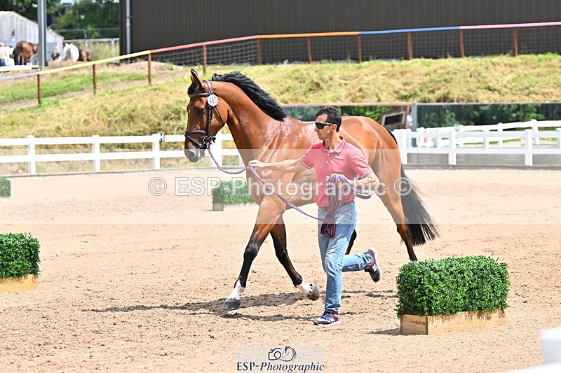 240718A-105307-01593 - Trot Up 1pm to 2pm
