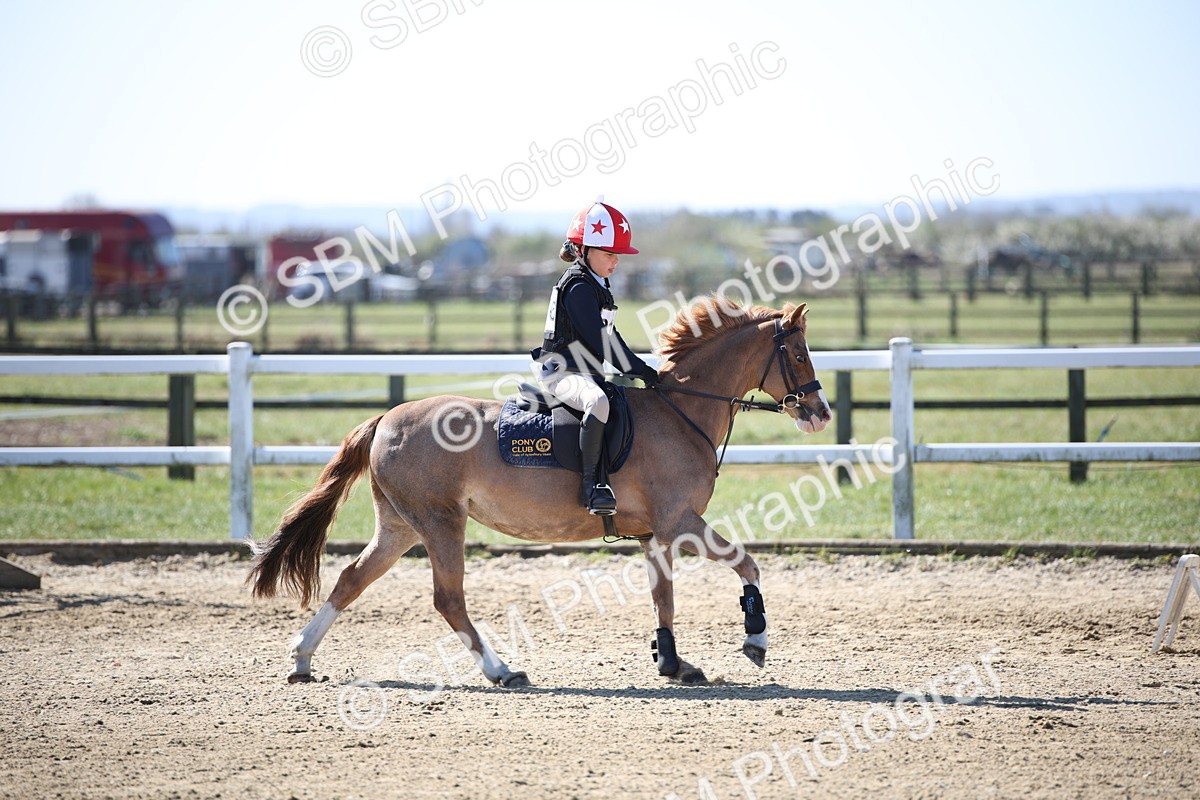 SBM_000776 - Class 2 - 50cm