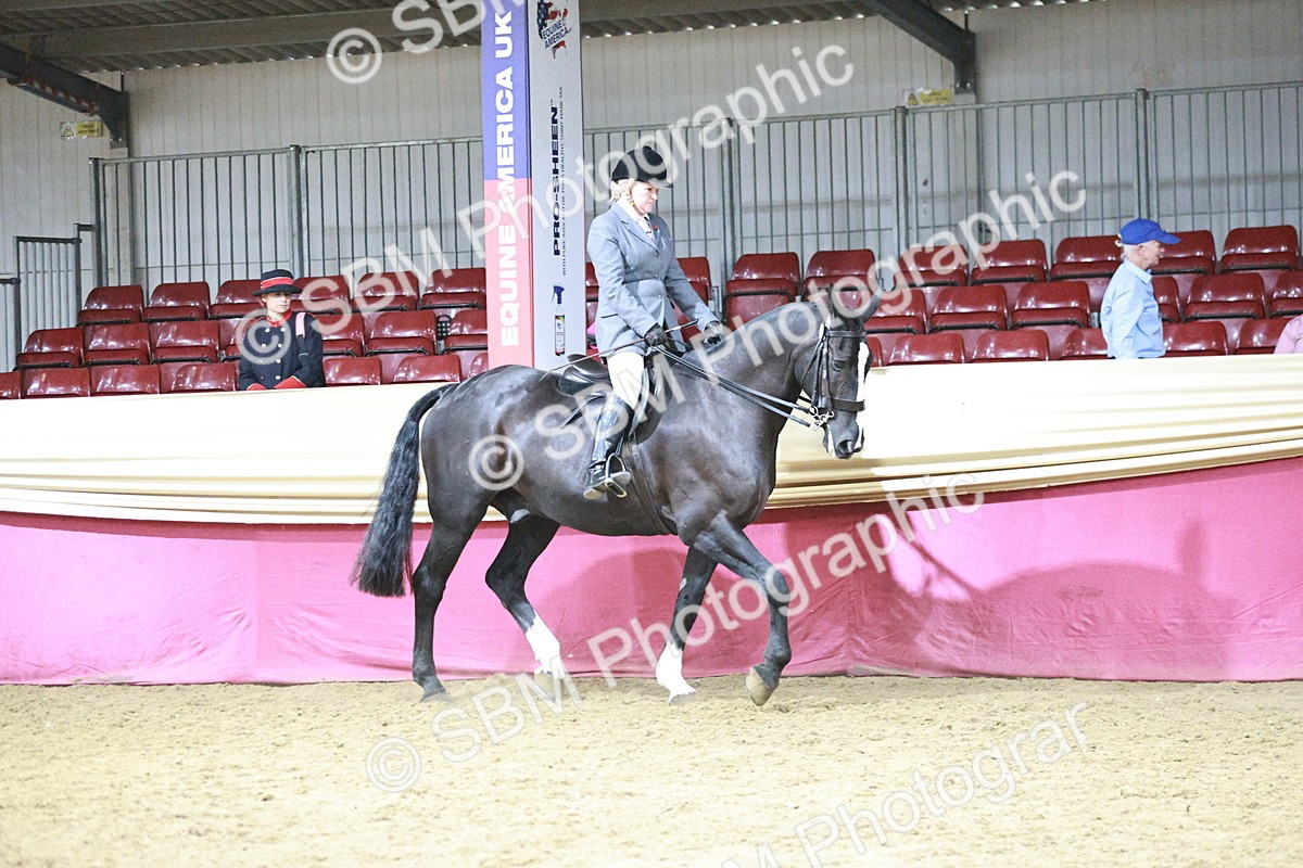 SBM_08013 - Class 11R - Regional Ridden Veteran