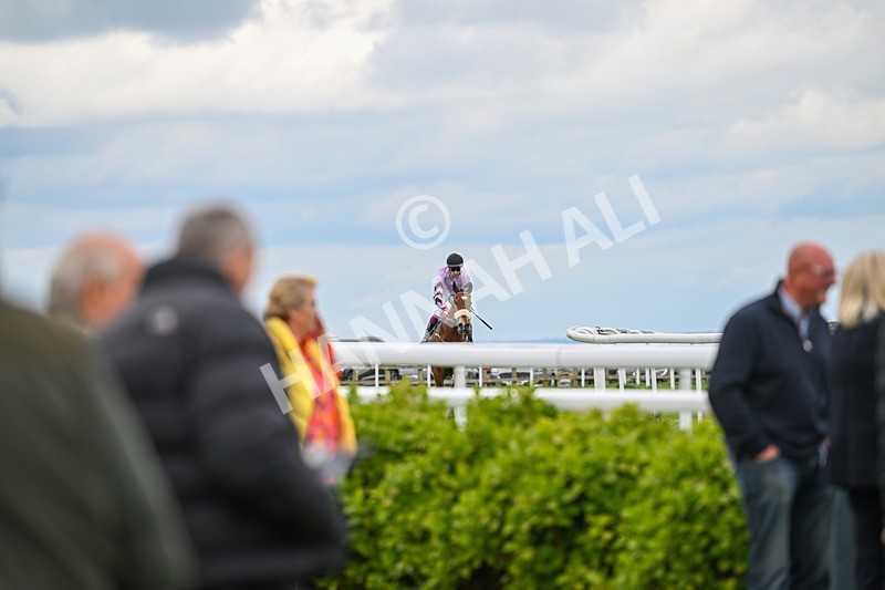 240425-Race 2-Brummell-1102 - Race 2