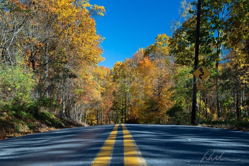 DSC_1992 - Roads