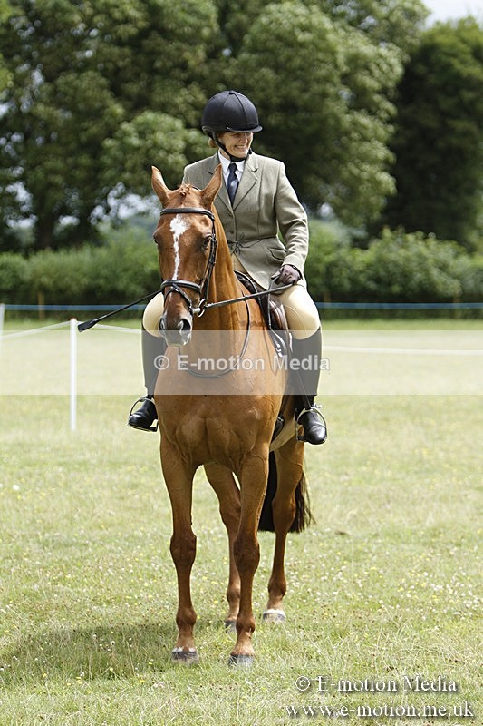 BVR160717-1821 - Ring 3 BVRC Show 16/07/17