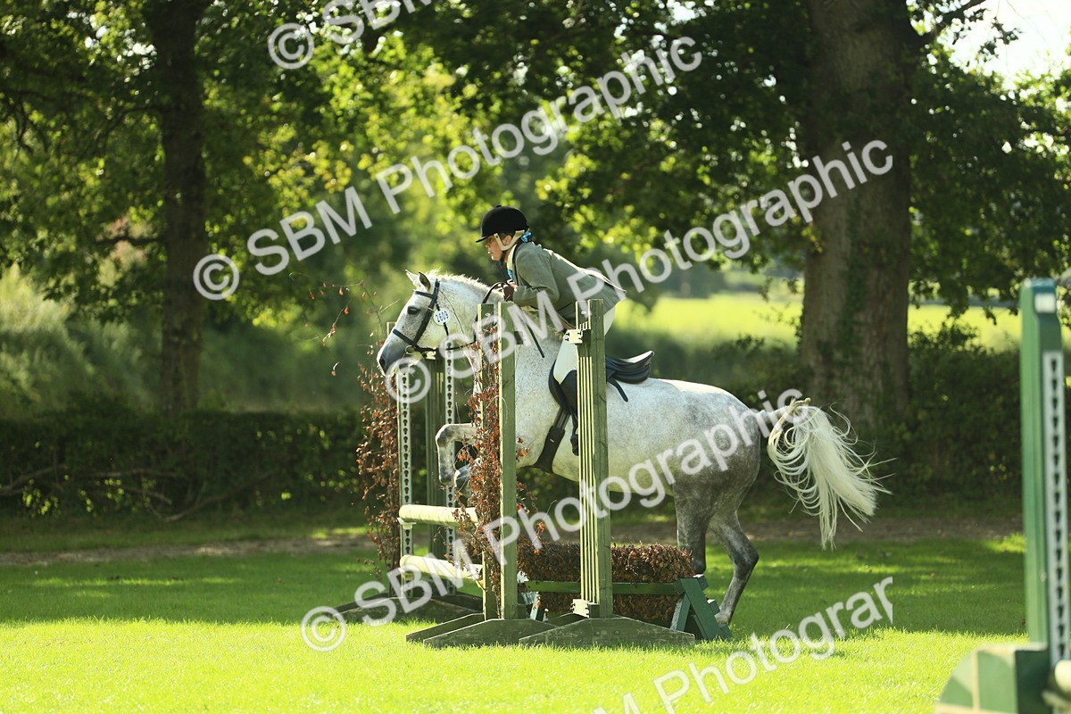 SBM_48072 - S32 - Novice & Newcomers Working Hunter