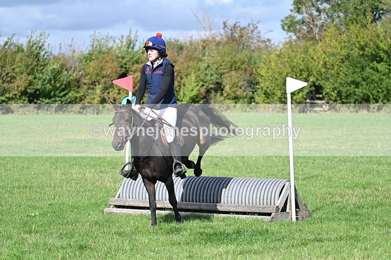 WJ7_8506 - 60cm Pairs