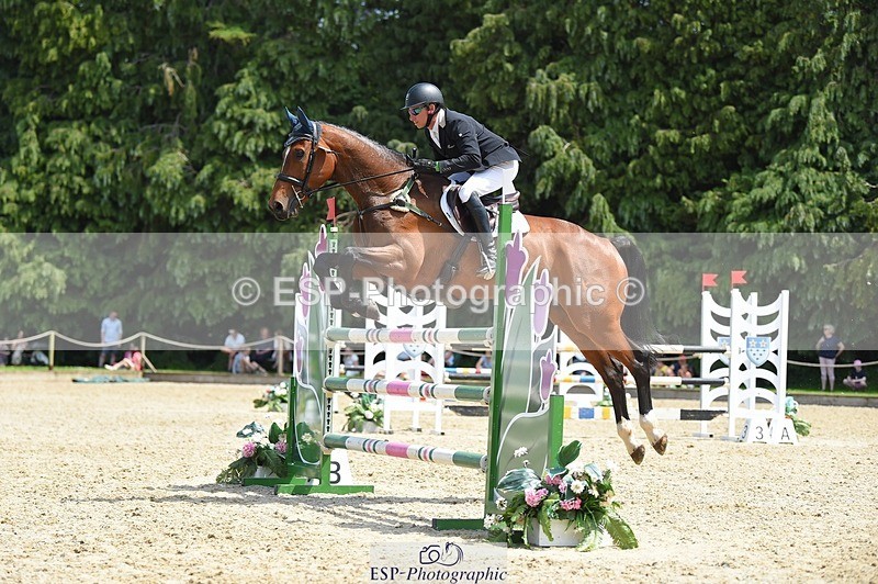 230528-121446-15604 - 312-J'ADORE_SALSA-Michael_Owen-SUNTrotUp+SJ